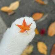 ヒメ日記 2026/01/21 13:46 投稿 利沙子 越谷熟女デリヘル マダムエプロン