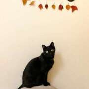 ヒメ日記 2026/01/29 15:21 投稿 利沙子 越谷熟女デリヘル マダムエプロン