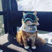 ヒメ日記 2026/02/01 09:20 投稿 利沙子 越谷熟女デリヘル マダムエプロン