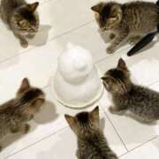 利沙子 心とカラダ　温まって🍀 越谷熟女デリヘル マダムエプロン