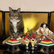 ヒメ日記 2026/03/01 23:50 投稿 利沙子 越谷熟女デリヘル マダムエプロン