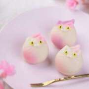 ヒメ日記 2026/03/06 00:07 投稿 利沙子 越谷熟女デリヘル マダムエプロン