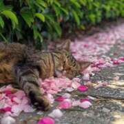 ヒメ日記 2026/03/19 21:56 投稿 利沙子 越谷熟女デリヘル マダムエプロン