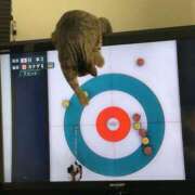 ヒメ日記 2026/03/23 10:59 投稿 利沙子 越谷熟女デリヘル マダムエプロン