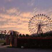 ヒメ日記 2026/04/06 12:00 投稿 利沙子 越谷熟女デリヘル マダムエプロン