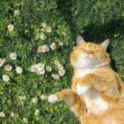 ヒメ日記 2026/04/08 19:08 投稿 利沙子 越谷熟女デリヘル マダムエプロン