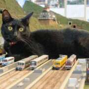 ヒメ日記 2026/04/10 22:13 投稿 利沙子 越谷熟女デリヘル マダムエプロン