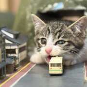 ヒメ日記 2026/04/17 12:02 投稿 利沙子 越谷熟女デリヘル マダムエプロン