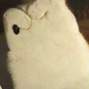 ヒメ日記 2026/04/19 00:04 投稿 利沙子 越谷熟女デリヘル マダムエプロン