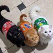 ヒメ日記 2026/04/29 23:23 投稿 利沙子 越谷熟女デリヘル マダムエプロン