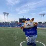 ヒメ日記 2026/05/22 12:28 投稿 利沙子 越谷熟女デリヘル マダムエプロン