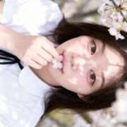 ヒメ日記 2026/04/10 11:43 投稿 福島 熟女の風俗最終章 新横浜店