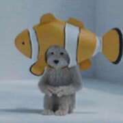 ヒメ日記 2025/04/23 10:24 投稿 りか 新宿本店 ぽちゃカワ女子専門店