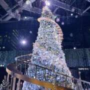 ヒメ日記 2025/12/30 12:31 投稿 りか 新宿本店 ぽちゃカワ女子専門店