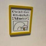 ヒメ日記 2026/01/22 13:27 投稿 りか 新宿本店 ぽちゃカワ女子専門店