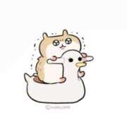 ヒメ日記 2026/03/30 16:14 投稿 りか 新宿本店 ぽちゃカワ女子専門店