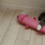 ヒメ日記 2025/02/15 20:56 投稿 かな 新潟デリヘル倶楽部