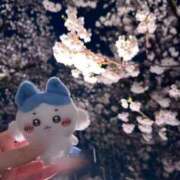 ヒメ日記 2025/04/24 22:26 投稿 かな 新潟デリヘル倶楽部