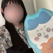 ヒメ日記 2025/04/29 14:36 投稿 かな 新潟デリヘル倶楽部