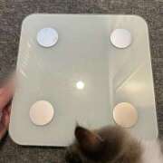 ヒメ日記 2025/09/19 16:46 投稿 かな 新潟デリヘル倶楽部