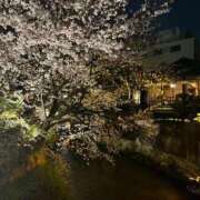 ヒメ日記 2026/04/04 16:56 投稿 かな 新潟デリヘル倶楽部