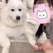 ヒメ日記 2026/04/29 13:44 投稿 ねね LOVE CLOVER（らぶくろーばー）