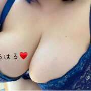 ヒメ日記 2024/12/18 08:36 投稿 ちはる 乳野家