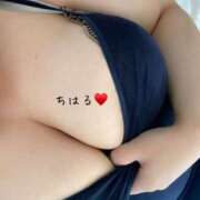 ヒメ日記 2025/02/23 08:42 投稿 ちはる 乳野家