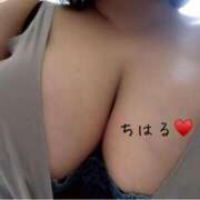 ヒメ日記 2025/05/14 07:54 投稿 ちはる 乳野家