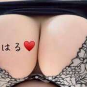 ヒメ日記 2025/09/20 07:45 投稿 ちはる 乳野家