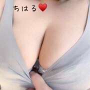 ヒメ日記 2026/03/28 07:45 投稿 ちはる 乳野家