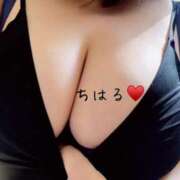 ヒメ日記 2026/04/11 07:45 投稿 ちはる 乳野家