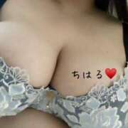 ちはる おやすみです🍀 乳野家
