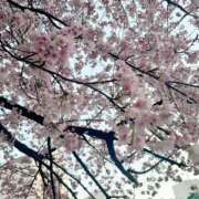 ヒメ日記 2025/03/18 11:03 投稿 ライム 奥様レストラン