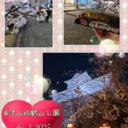 ヒメ日記 2025/04/02 16:56 投稿 森藤日香莉 五十路マダム愛されたい熟女たち 津山店