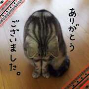 ヒメ日記 2025/01/15 16:00 投稿 あずさ 完熟ばなな神戸・三宮店