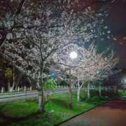 あずさ おはようございます⛅️ 完熟ばなな神戸・三宮店