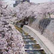 あずさ こんにちは🌸 完熟ばなな神戸・三宮店