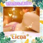 ヒメ日記 2026/07/07 00:09 投稿 朝陽 エレナ 大和屋 京都店