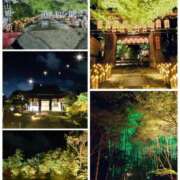 ヒメ日記 2026/08/13 18:55 投稿 朝陽 エレナ 大和屋 京都店