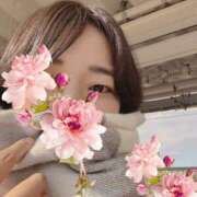 ヒメ日記 2025/03/13 20:46 投稿 麦 Arrest（アレスト）