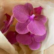 麦 2年 Arrest（アレスト）