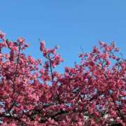 ヒメ日記 2026/03/09 13:24 投稿 麦 Arrest（アレスト）