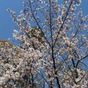 ヒメ日記 2026/04/03 21:45 投稿 麦 Arrest（アレスト）