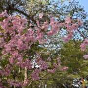 ヒメ日記 2026/04/27 12:47 投稿 秦～HATA～ BBW大宮店