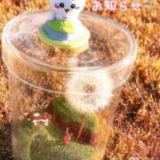 ヒメ日記 2025/01/08 17:21 投稿 ふうか 西川口おかあさん