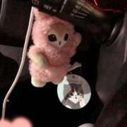 ヒメ日記 2025/02/02 03:51 投稿 ふうか 西川口おかあさん