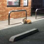 ヒメ日記 2025/02/06 23:31 投稿 ふうか 西川口おかあさん