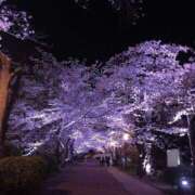 ヒメ日記 2025/04/08 23:21 投稿 ふうか 西川口おかあさん