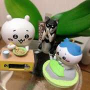 ヒメ日記 2025/06/16 14:41 投稿 ふうか 西川口おかあさん